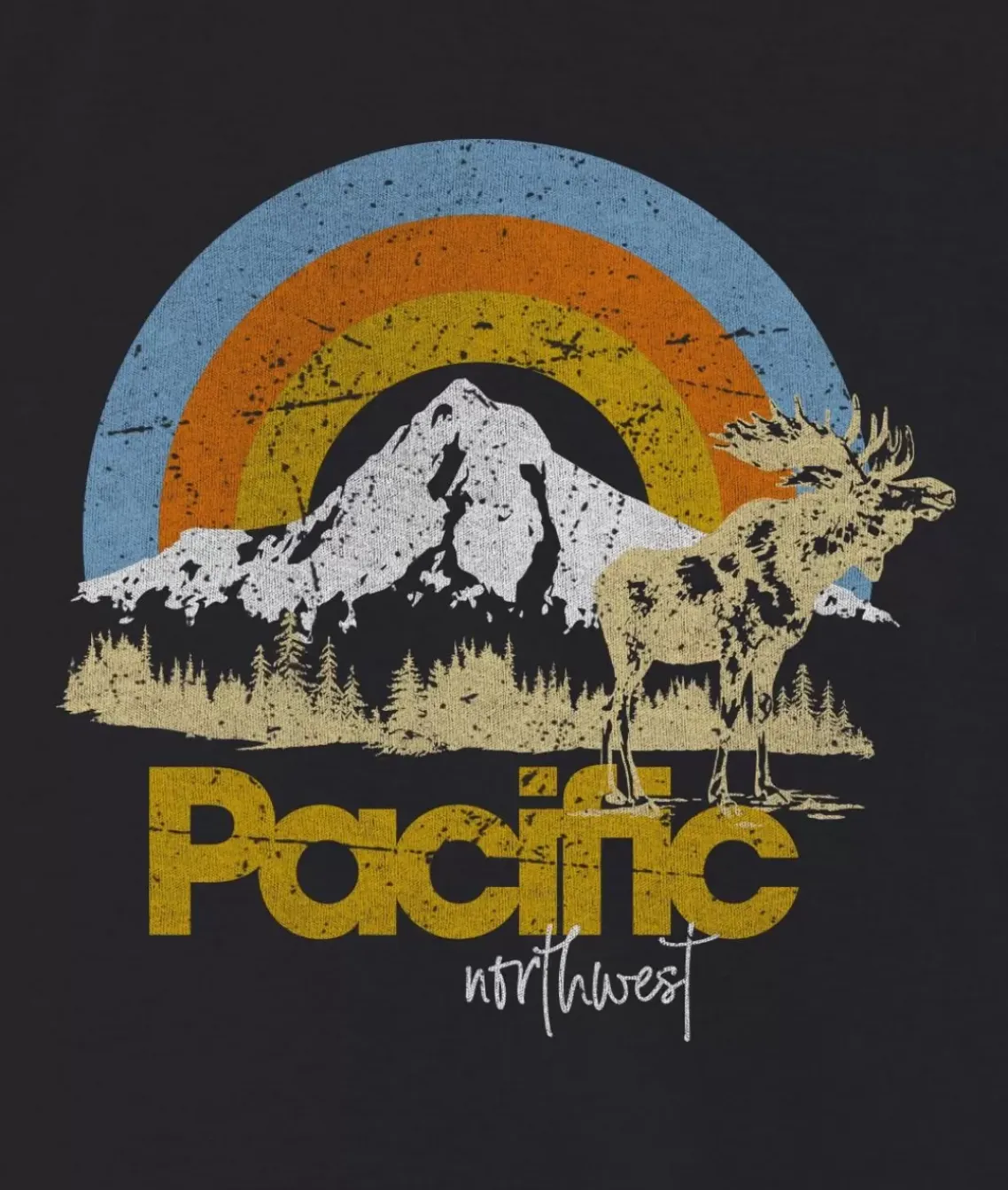 Women'S Ridiculously Soft Graphic Oversized Pullover Sweatshirt | Pacific Northwest